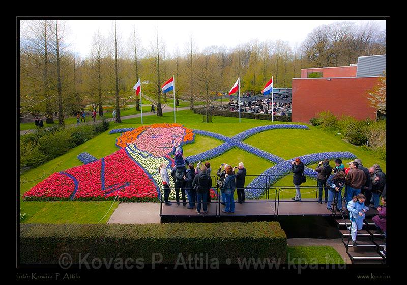 Keukenhof Hollandia 021.jpg